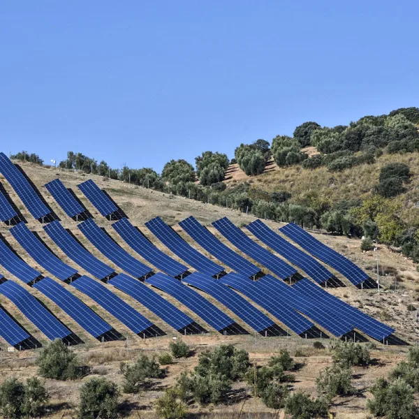 paneles solares