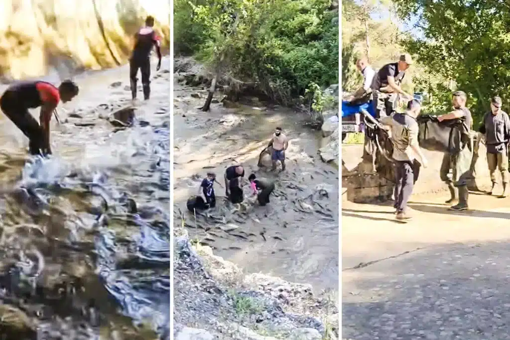 pescadores Guadalajara