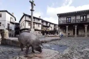 animalismo acaba marrano de San Antón Salamanca