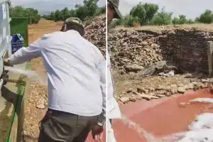 cazadores agua fauna verano