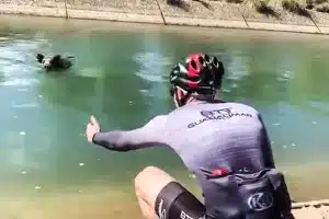 ciclistas jabalí canal