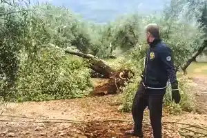 desprendimiento a punto de matar a varios agricultores
