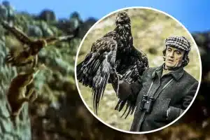 Escena cabra águila Félix Rodríguez de la Fuente