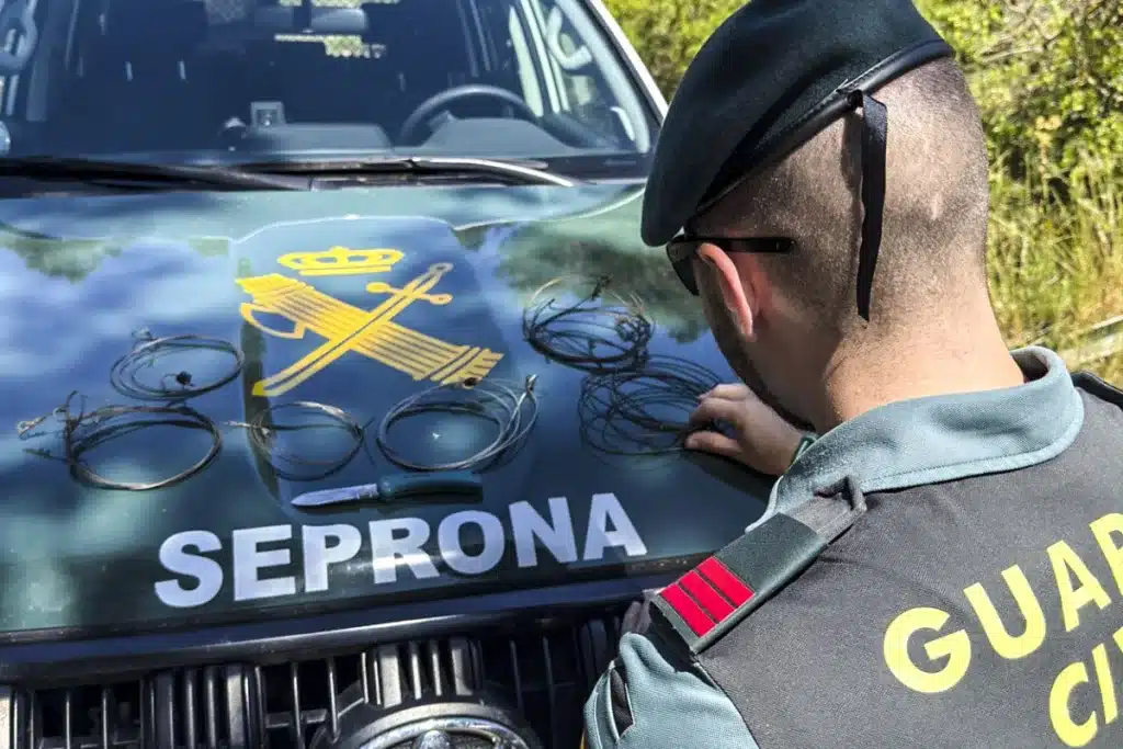 Guardia Civil zorro lazo gallinas