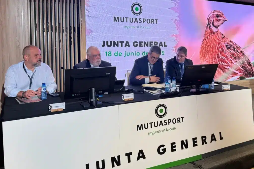 Junta Mutuasport