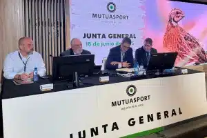 Junta Mutuasport