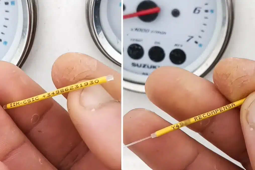 Recompensa pez marcado