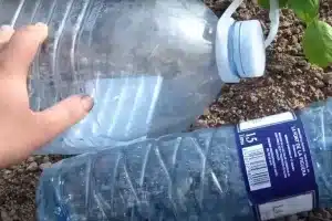 riego goteo dos garrafas