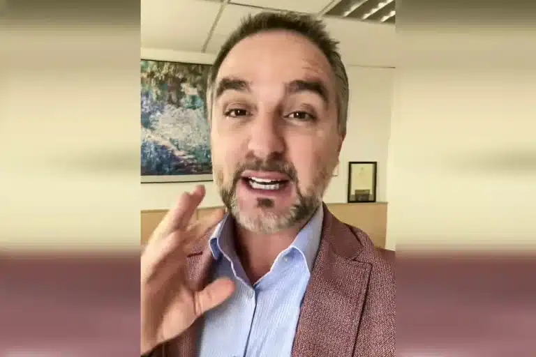 abogado responde recoger piñas o leña