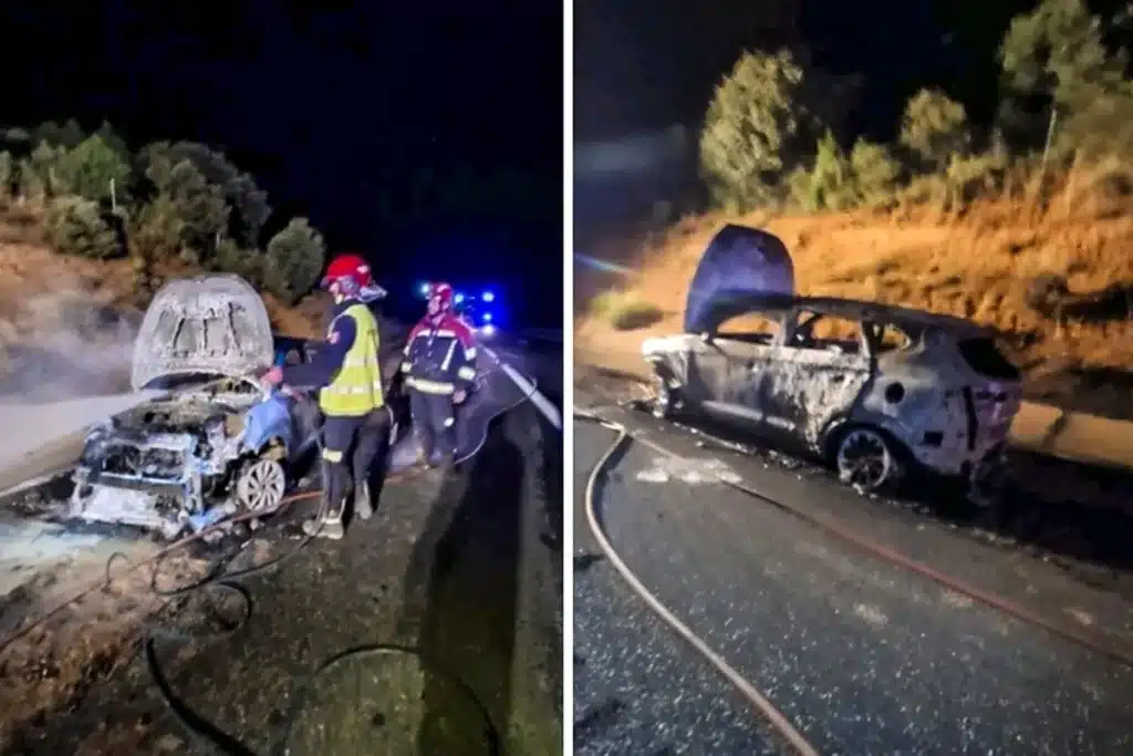 accidente jabalí Burgos