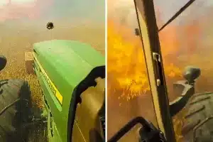 Agricultor incendio Méntrida
