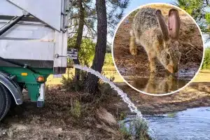 Cazadores rellenan una balsa de agua.