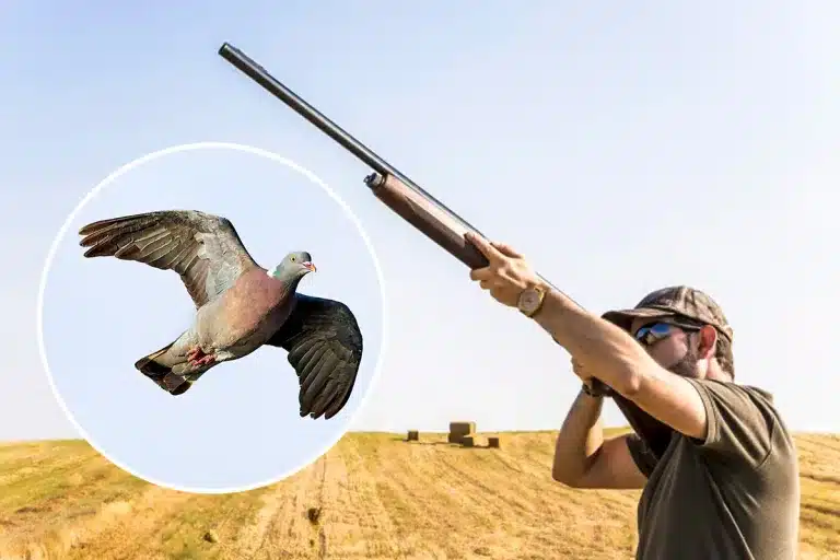 Cazador disparando a una paloma
