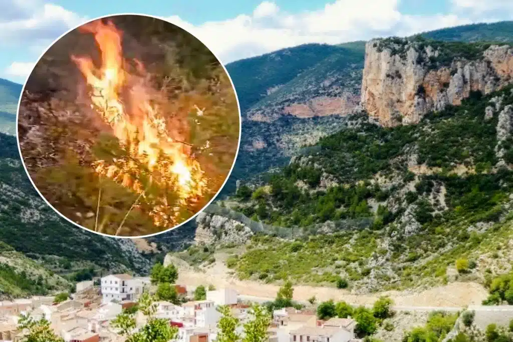 La zona de Utiel tiene un alto valor ecológico.