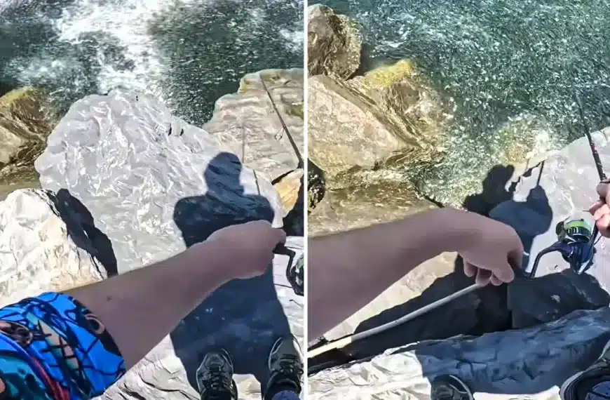 peces rodean pescador Huelva