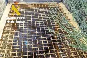 pillado poderoso e ilegal método Salamanca