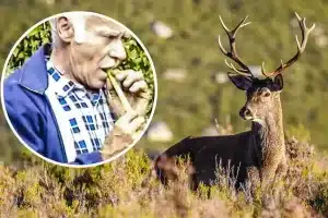 truco cazador llamar zorros ciervos hoja