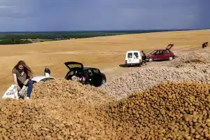 agricultor patatas gratis