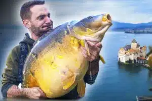 carpa 28 kilos Mequinenza