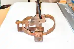 Imagen del cepo intervenido.