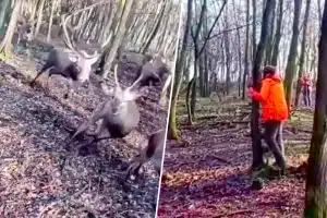 Imágenes del tenso momento