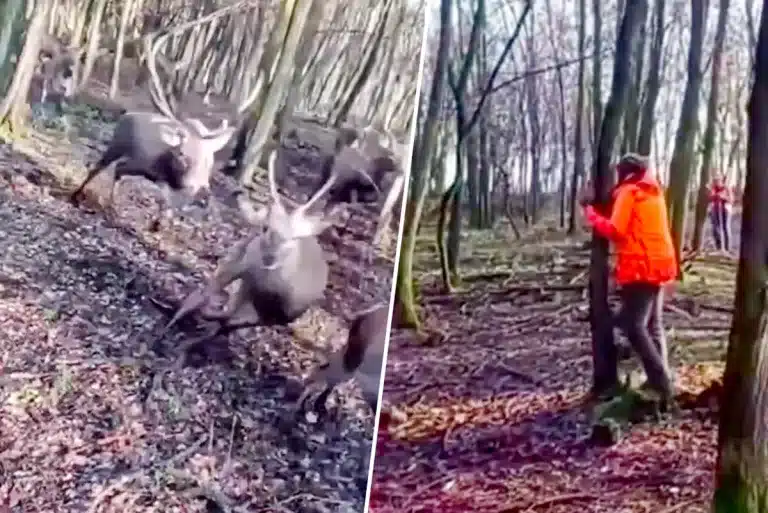 Imágenes del tenso momento