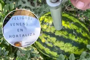 El cartel instalado en el huerto.