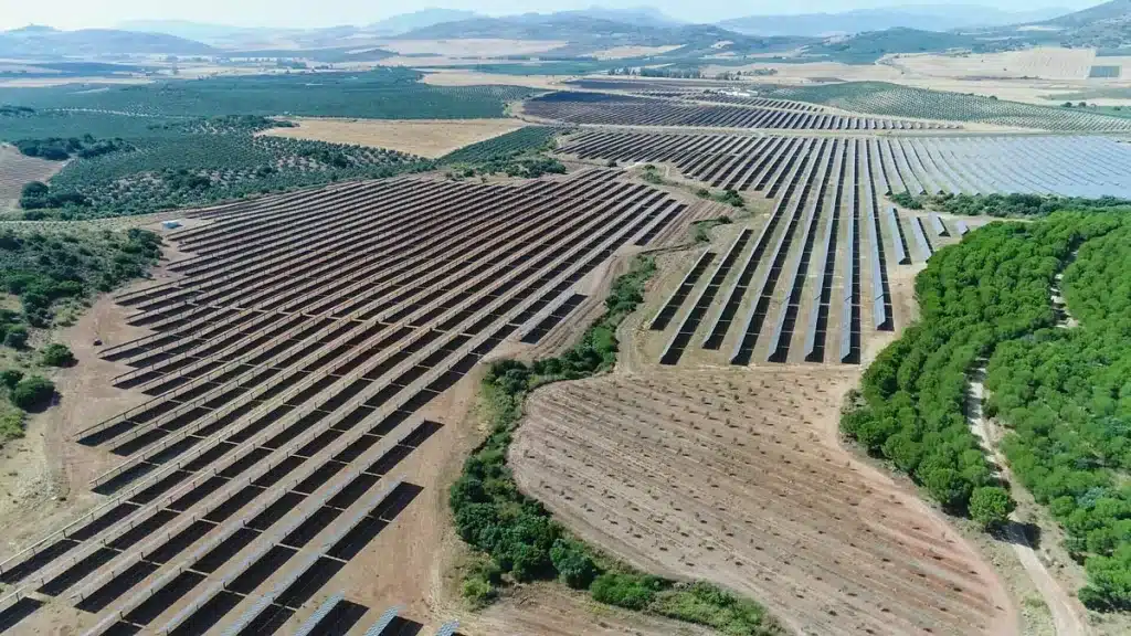 Huerto solar de Málaga.