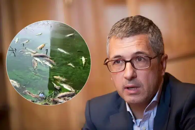 Hugo Morán, secretario de estado del Ministerio de Transición Ecológica que firmó la adjudicación del contrato.