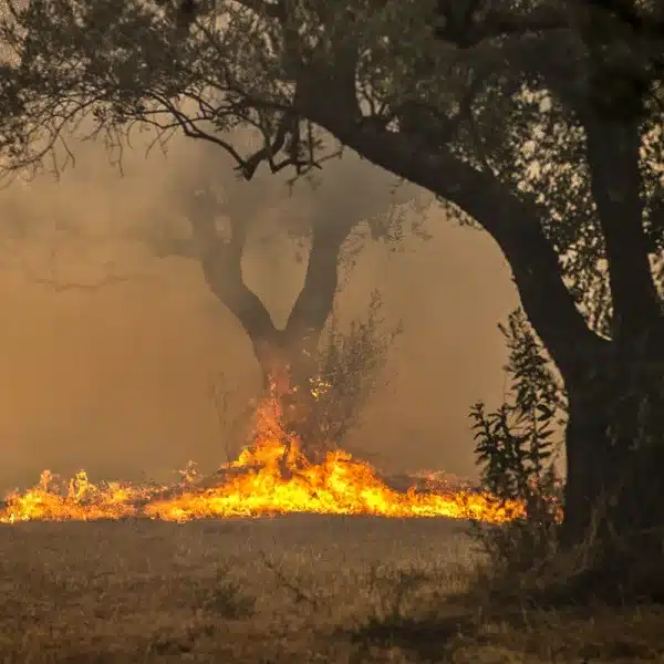 Incendio