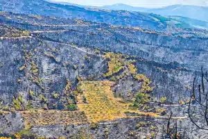 Imagen que se ha vuelto viral en Facebook.