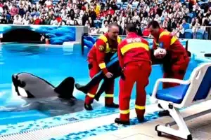 Imagen de uno de los vídeos que se han hecho virales y que han sido generados por IA.