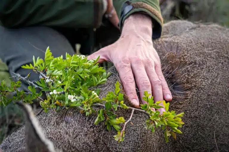 Un cazador tocando a un corzo.