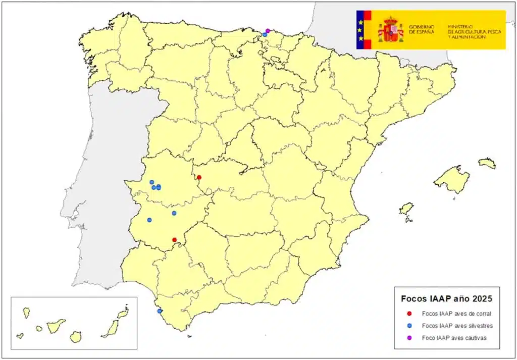 Focos declarados este año en España.