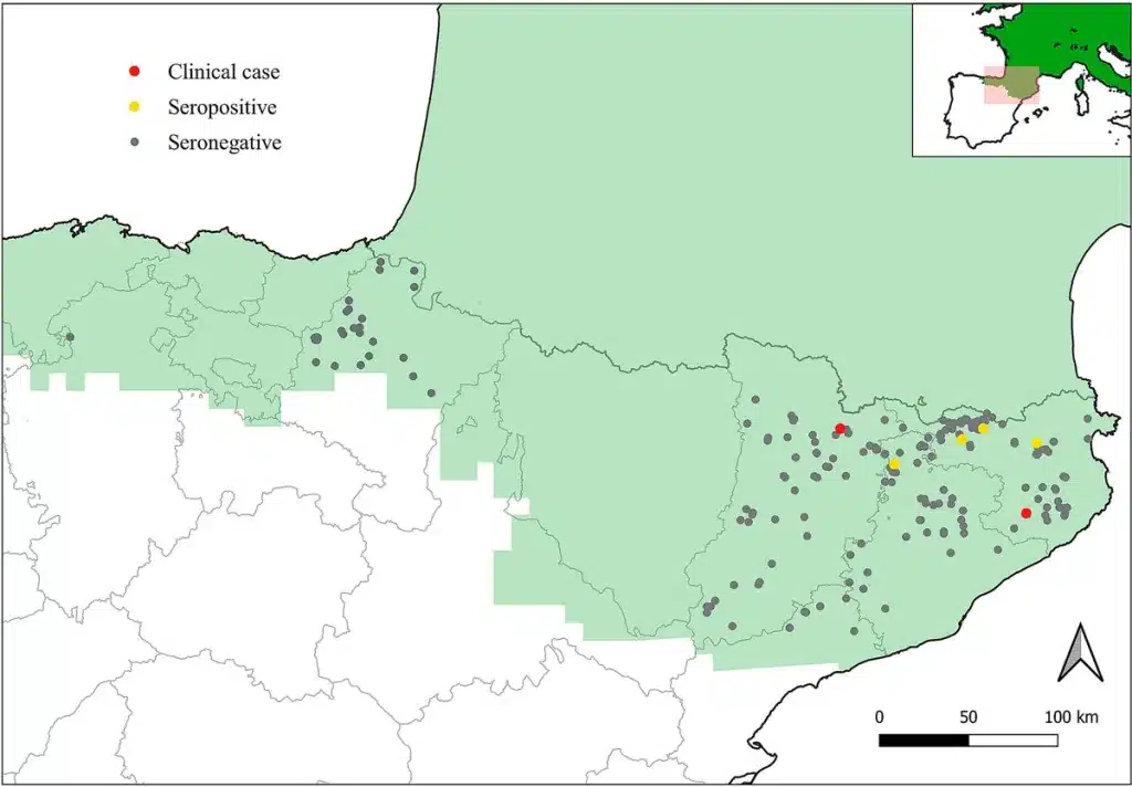 Ubicación geográfica de las liebres comunes europeas (Lepus europaeus) analizadas para la detección de exposición a Toxoplasma gondii en las regiones septentrionales de Cataluña, Navarra y Castilla y León (España), durante el periodo comprendido entre 2013 y 2023. El área sombreada en verde indica la distribución del hábitat de la especie estudiada en la Península Ibérica y Europa (recuadro). Cada punto representa una liebre individual muestreada.