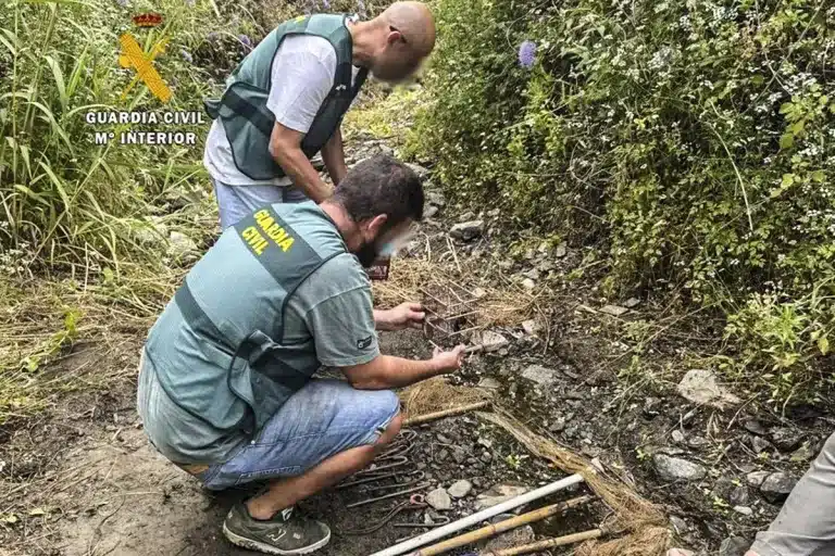Método prohibido capturar fringílidos