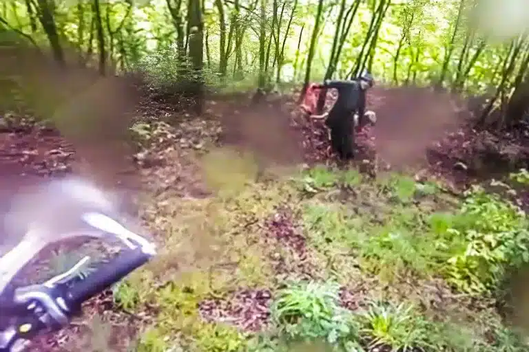 Motorista se encuentra frente a frente con un cazador