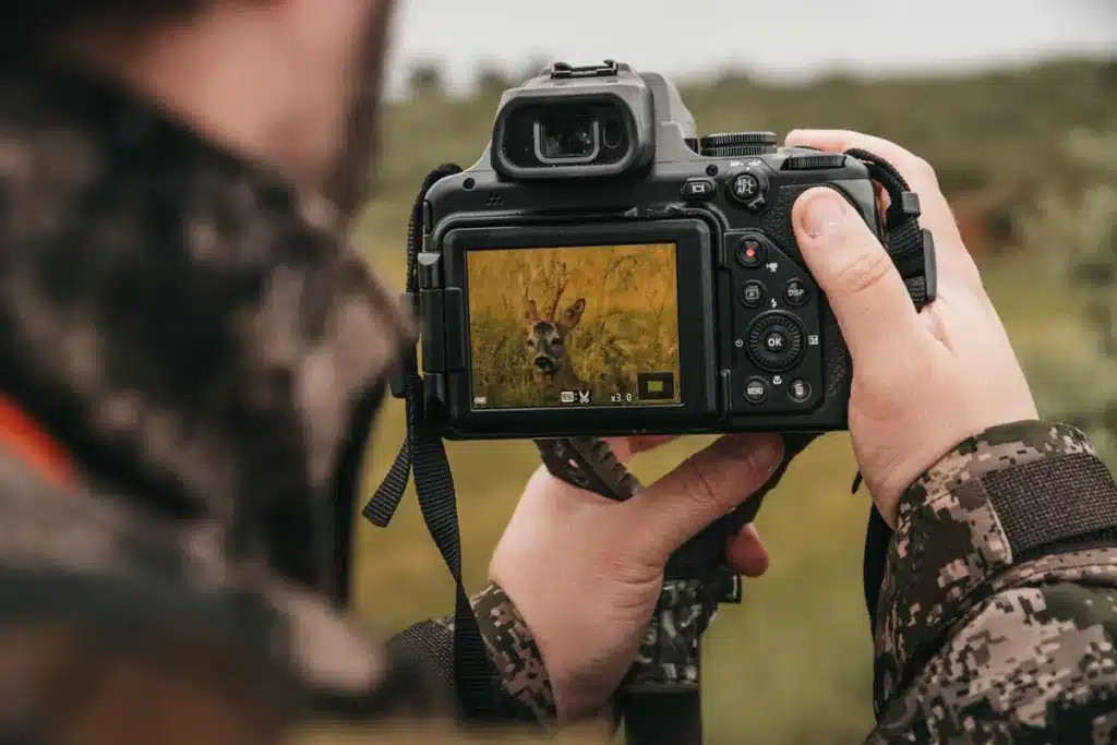 El autor analiza a un corzo tras haberlo fotografiado. 