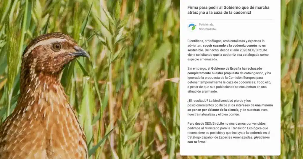 SEO/BirdLife tiene abierta una recogida de firmas para pedir la prohibición de la caza a pesar del criterio de los científicos.