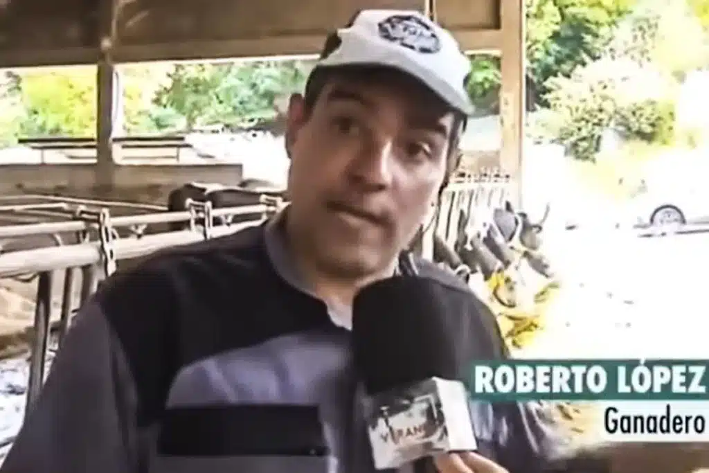 predicción ganadero gallego