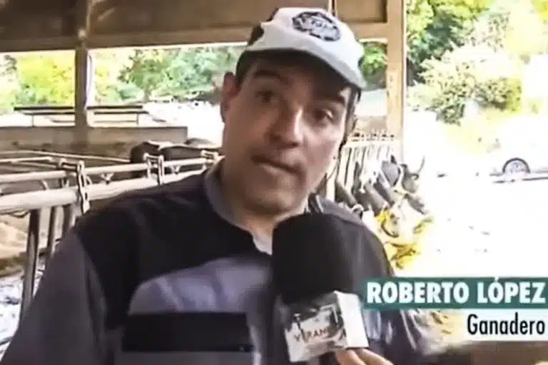 predicción ganadero gallego