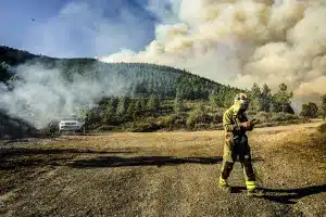 prohibida la caza en Orense por incendios
