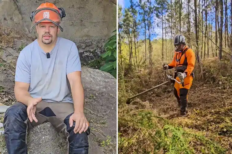 prohibido desbrozar en España