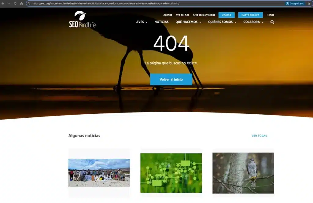 La página que mostraba la entrevista ha sido eliminada.