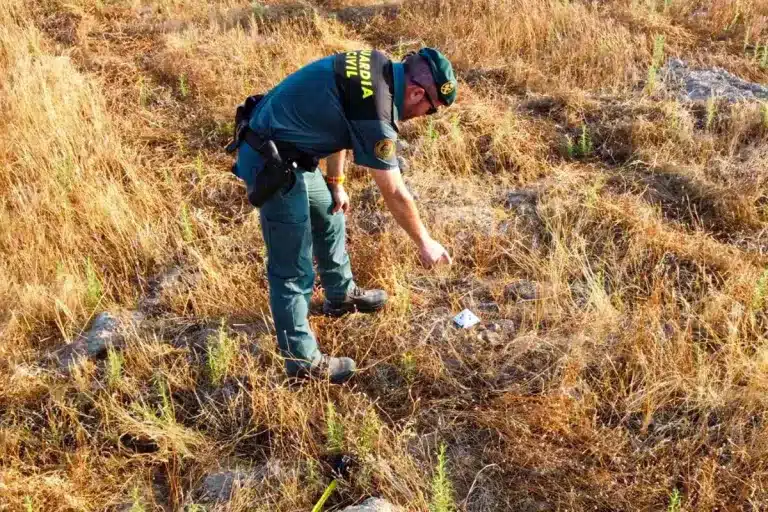 El Seprona, identificando elementos dañados.