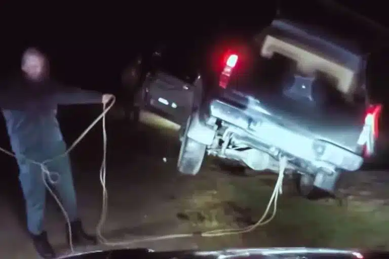 Seprona rescata furtivo