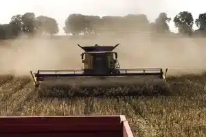 sorpresa cosechadora