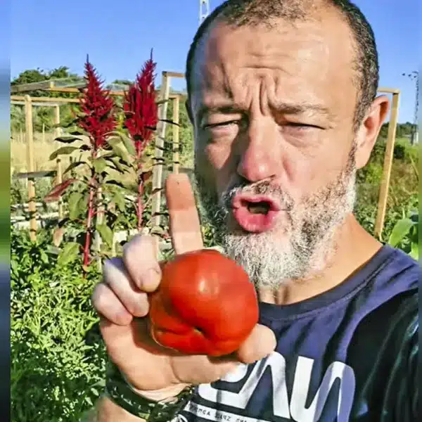 Tomates no los guardes en la nevera