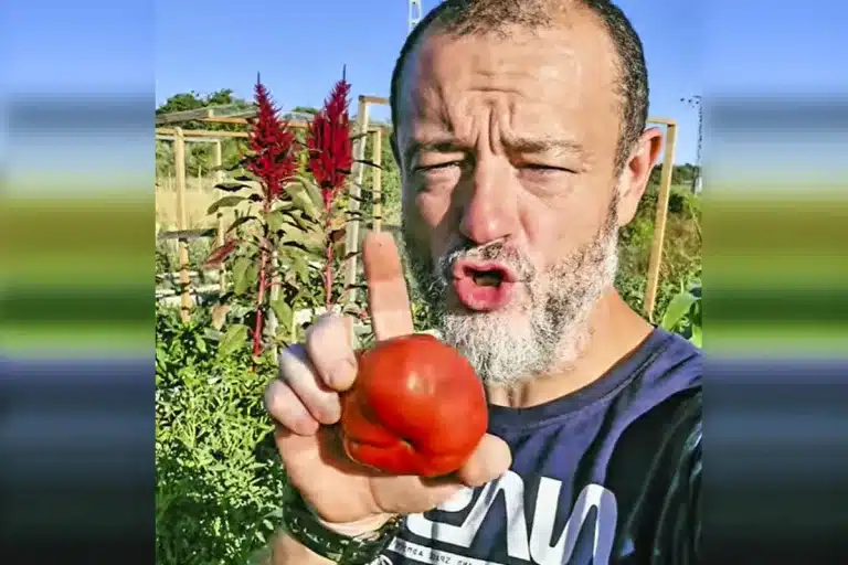 Tomates no los guardes en la nevera