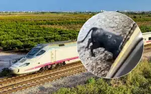 Un tren y el toro antes del ataque.